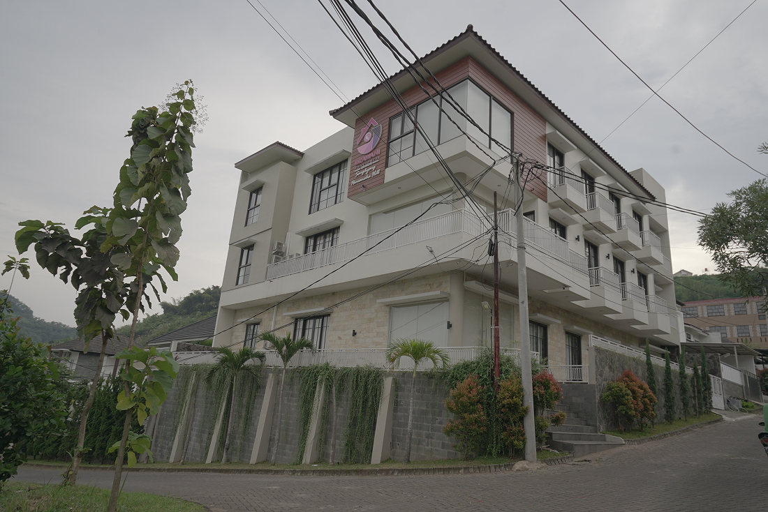 Image of Dzawani SPH 1